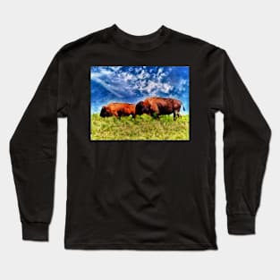 Bison On The Plains Long Sleeve T-Shirt